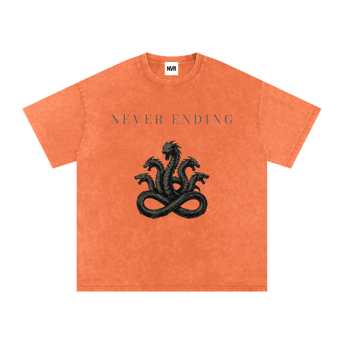 Never Ending Hydra Snow Washed Oversized Cotton T-Shirt