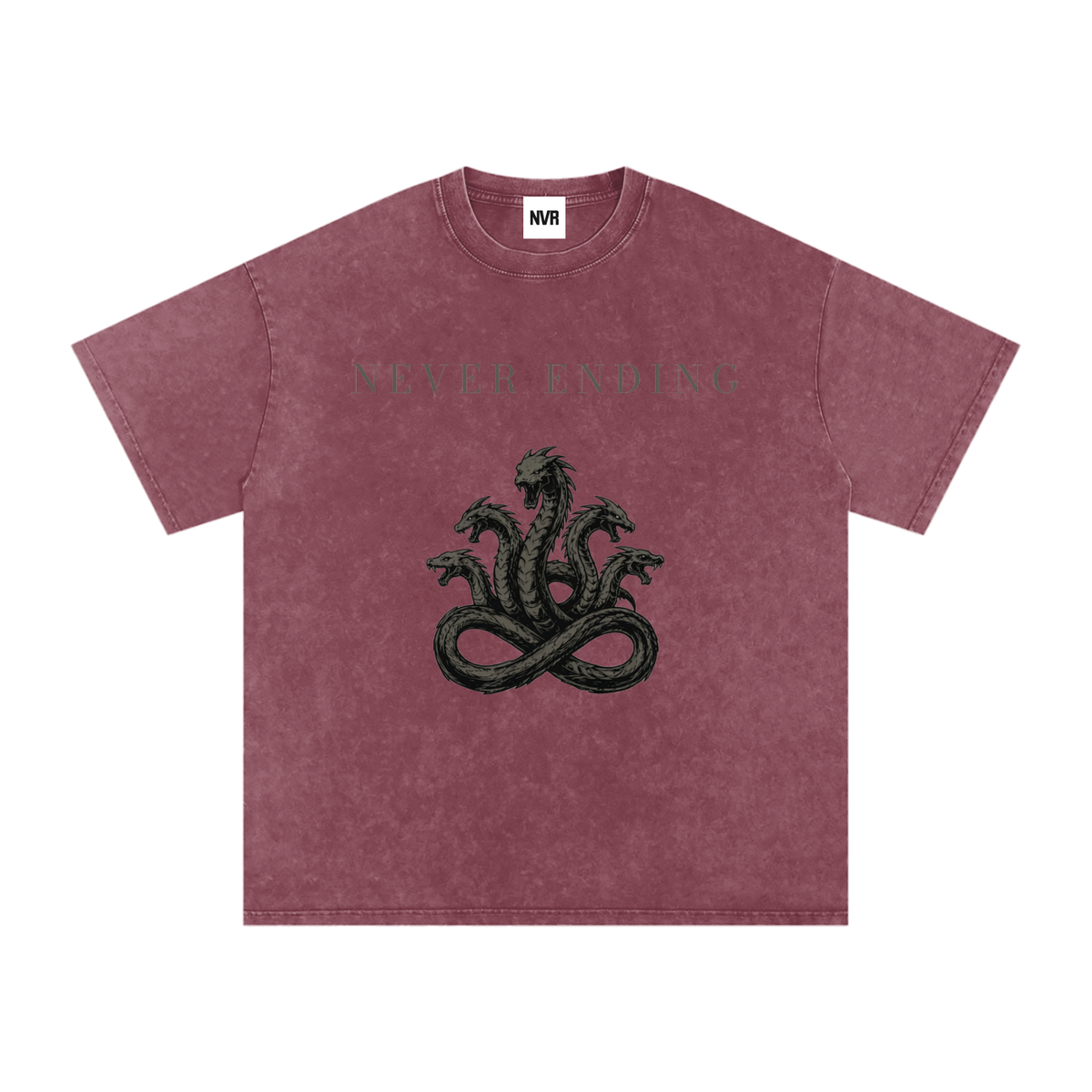 Never Ending Hydra Snow Washed Oversized Cotton T-Shirt